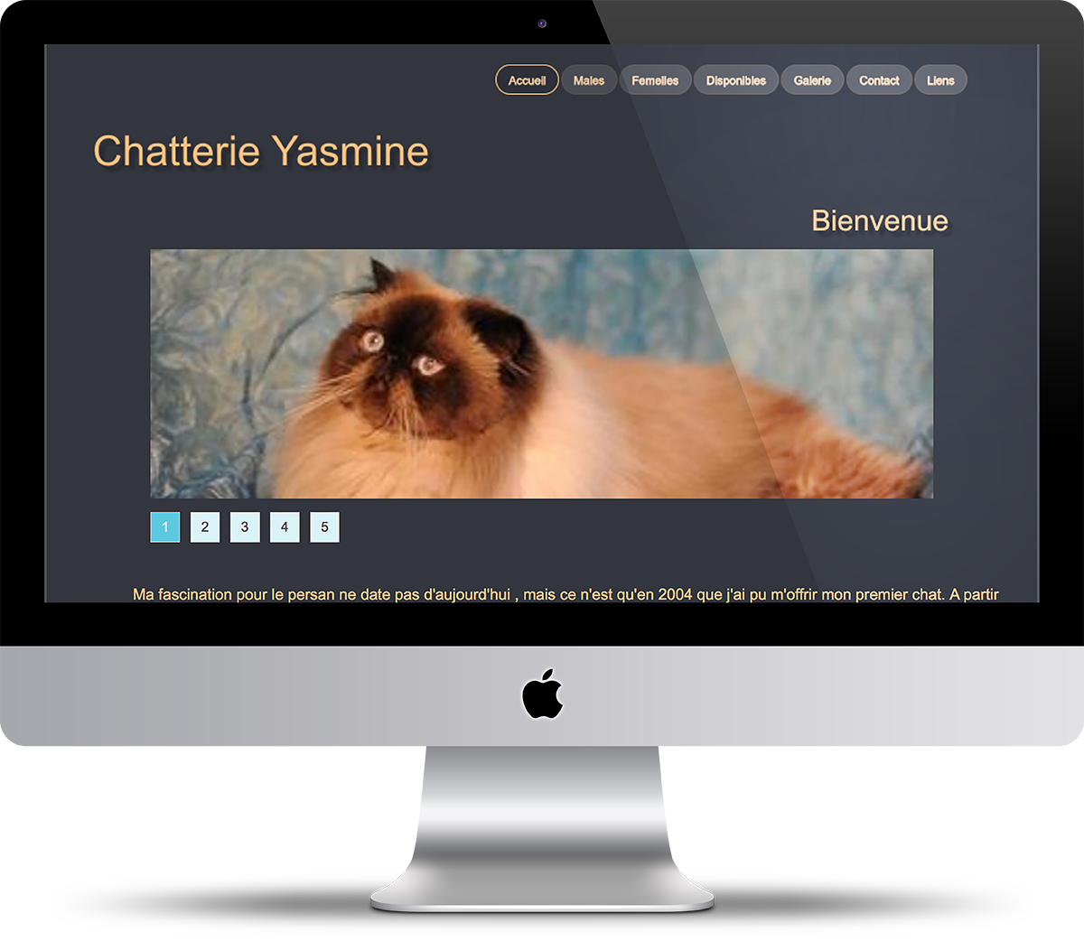 chatterie-yasmine-website